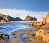Auckland Coastal Piha Beach